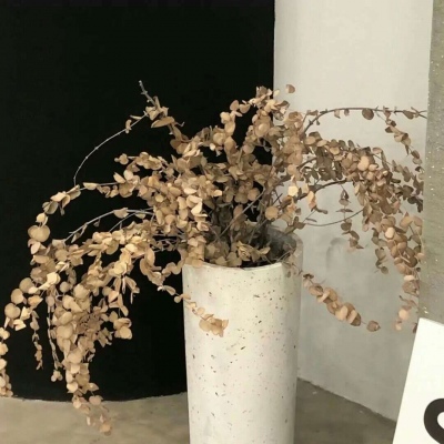 岑溪福瑞交流群